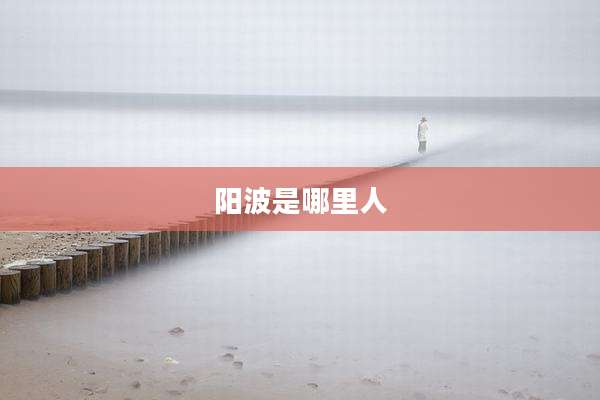 阳波是哪里人