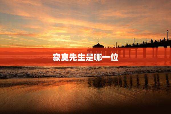 寂寞先生是哪一位