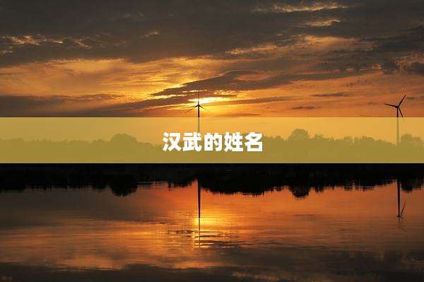 汉武的姓名