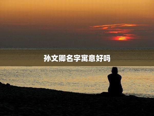 孙文卿名字寓意好吗