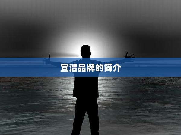 宜洁品牌的简介