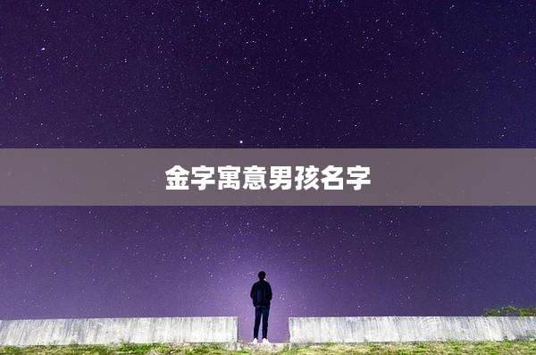 金字寓意男孩名字