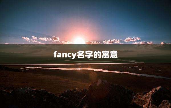 fancy名字的寓意