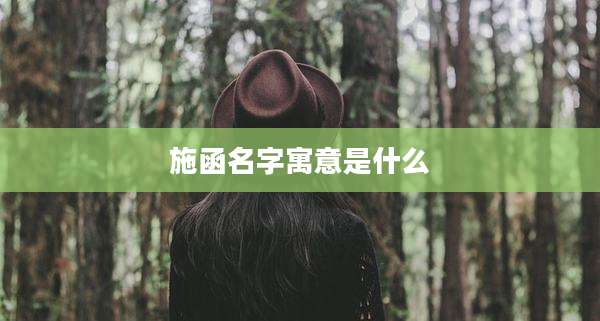 施函名字寓意是什么