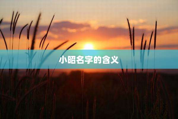 小昭名字的含义