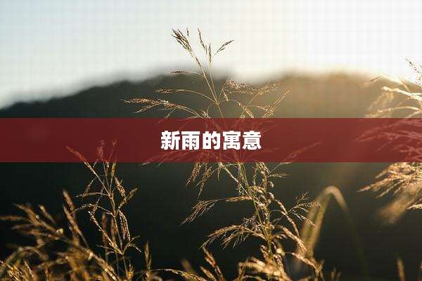 新雨的寓意