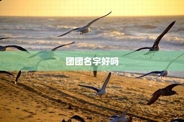 团团名字好吗
