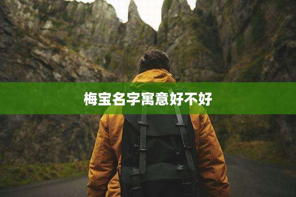 梅宝名字寓意好不好