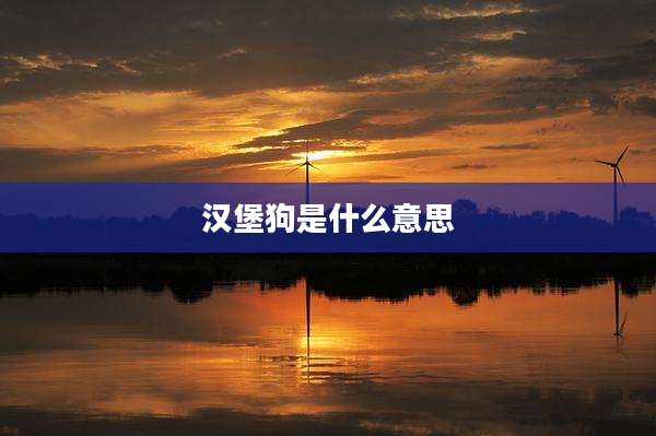 汉堡狗是什么意思