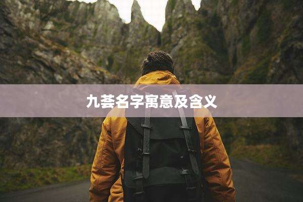 九荟名字寓意及含义