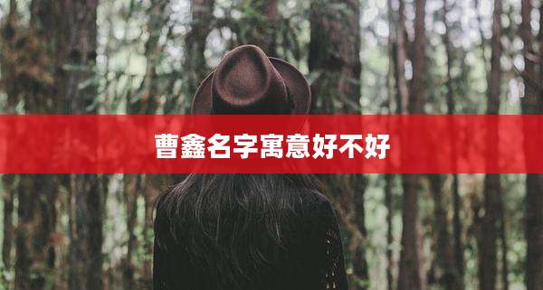 曹鑫名字寓意好不好