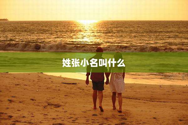 姓张小名叫什么