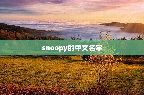 snoopy的中文名字