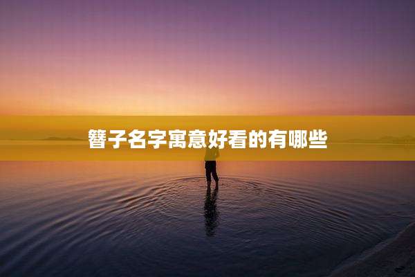 簪子名字寓意好看的有哪些