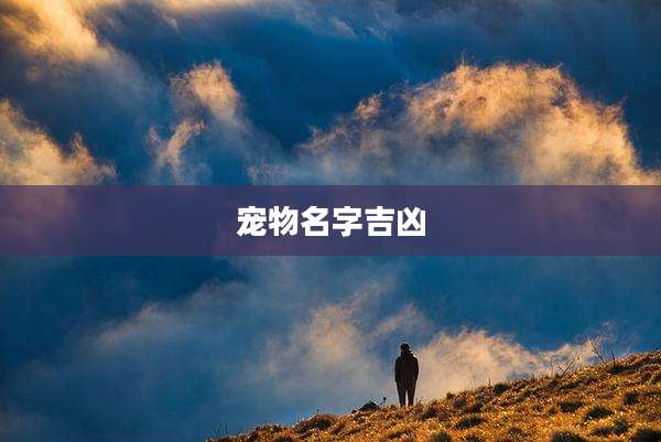宠物名字吉凶