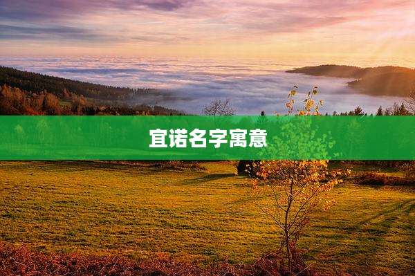 宜诺名字寓意