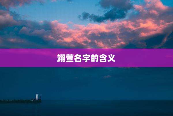 翊萱名字的含义