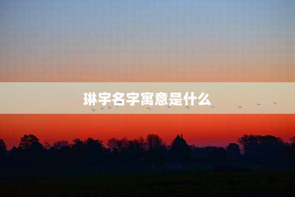 琳宇名字寓意是什么