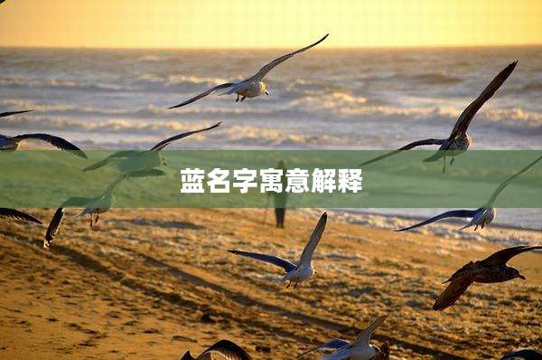 蓝名字寓意解释