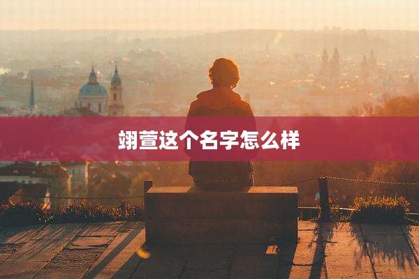 翊萱这个名字怎么样