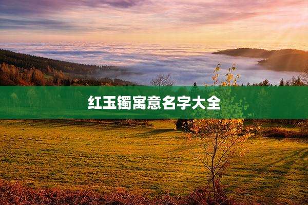红玉镯寓意名字大全