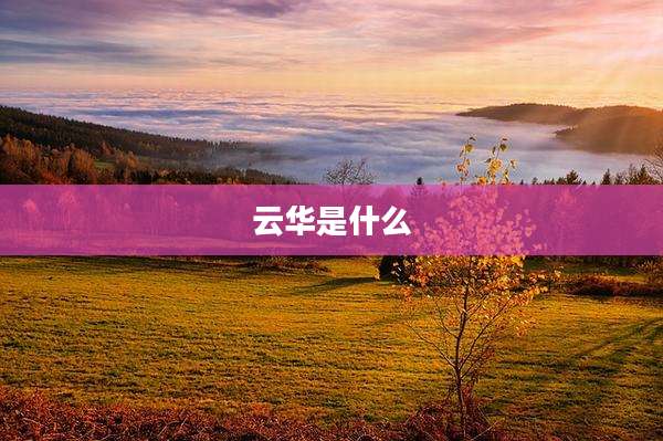 云华是什么