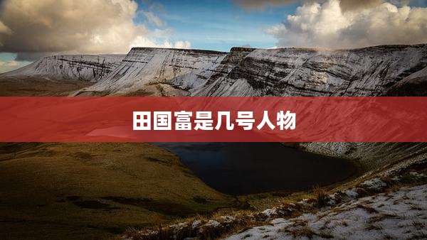 田国富是几号人物