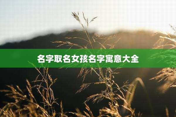 名字取名女孩名字寓意大全