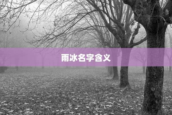 雨冰名字含义