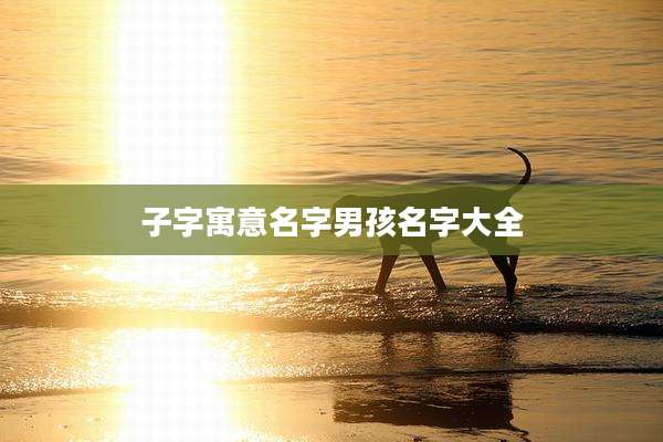 子字寓意名字男孩名字大全