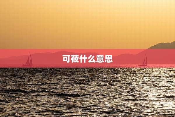 可莜什么意思