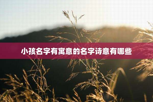 小孩名字有寓意的名字诗意有哪些