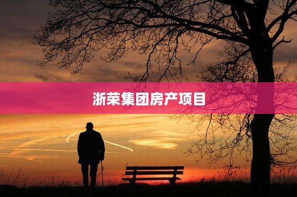 浙荣集团房产项目