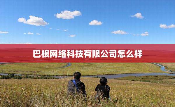 巴根网络科技有限公司怎么样