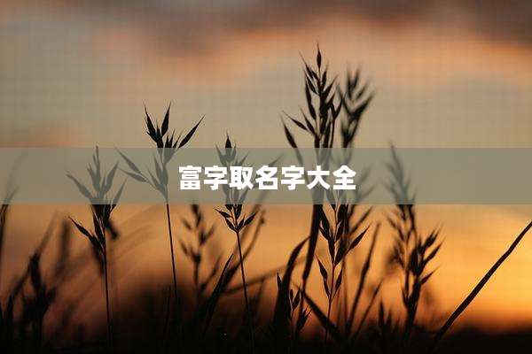 富字取名字大全