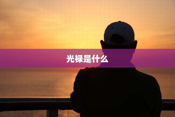 光禄是什么