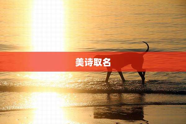 美诗取名