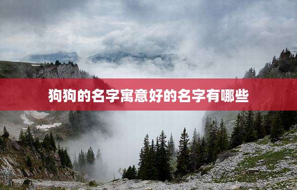 狗狗的名字寓意好的名字有哪些