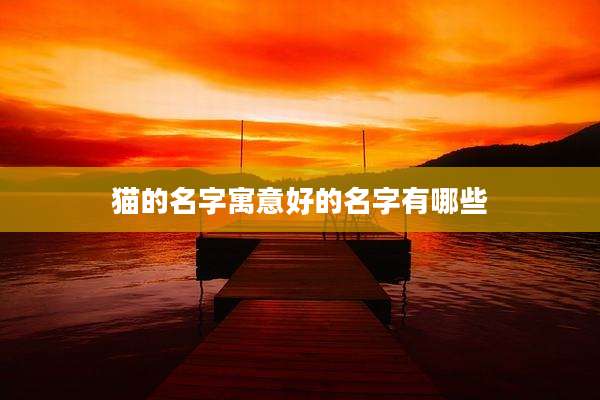 猫的名字寓意好的名字有哪些