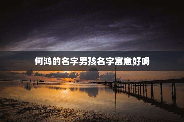 何鸿的名字男孩名字寓意好吗