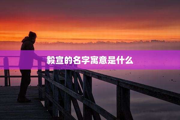 毅宣的名字寓意是什么