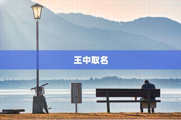 王中取名