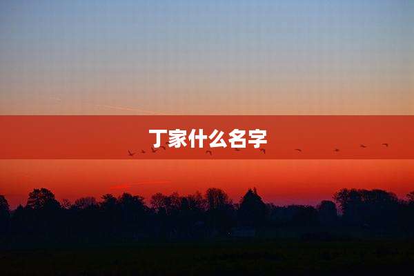 丁家什么名字