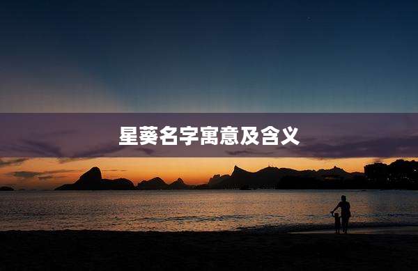 星葵名字寓意及含义