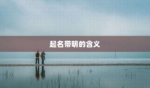 起名带明的含义