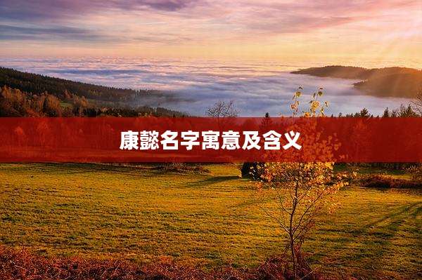 康懿名字寓意及含义