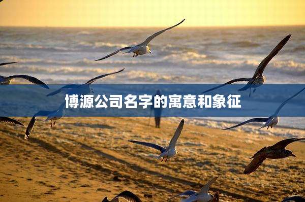 博源公司名字的寓意和象征