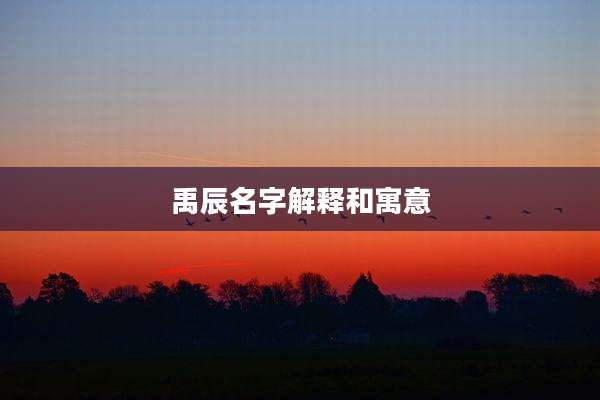 禹辰名字解释和寓意