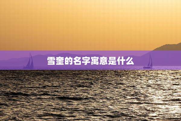 雪奎的名字寓意是什么