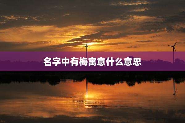 名字中有梅寓意什么意思